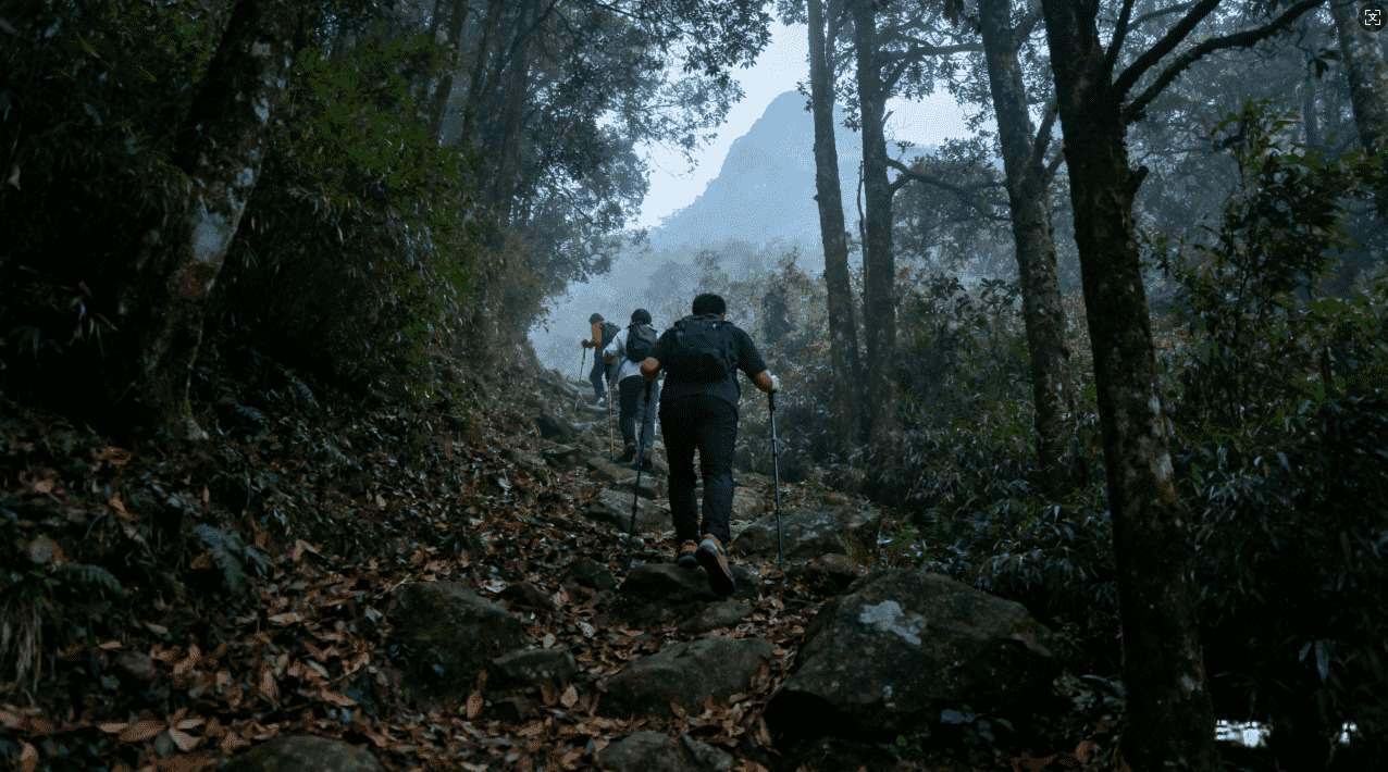 白鲸加速器关闭事件背后的内幕消息